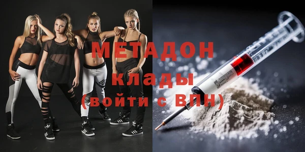 сатива Алзамай